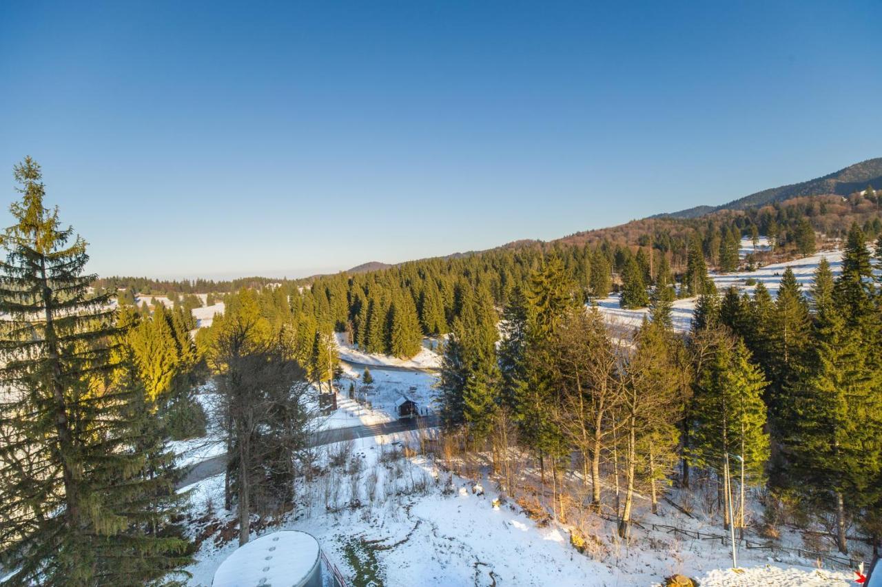 Forest Corner In Silver Mountain Of Poiana Brasov Ngoại thất bức ảnh