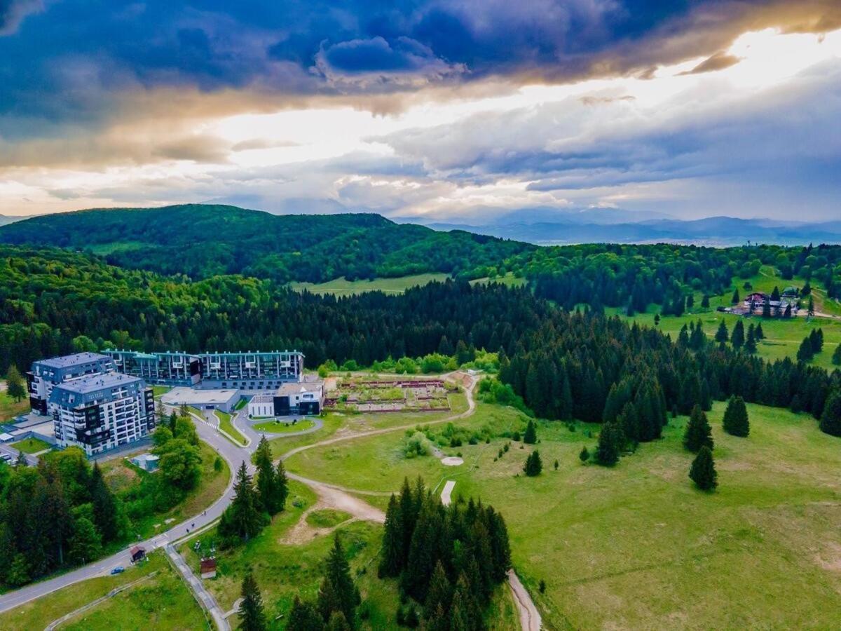 Forest Corner In Silver Mountain Of Poiana Brasov Ngoại thất bức ảnh