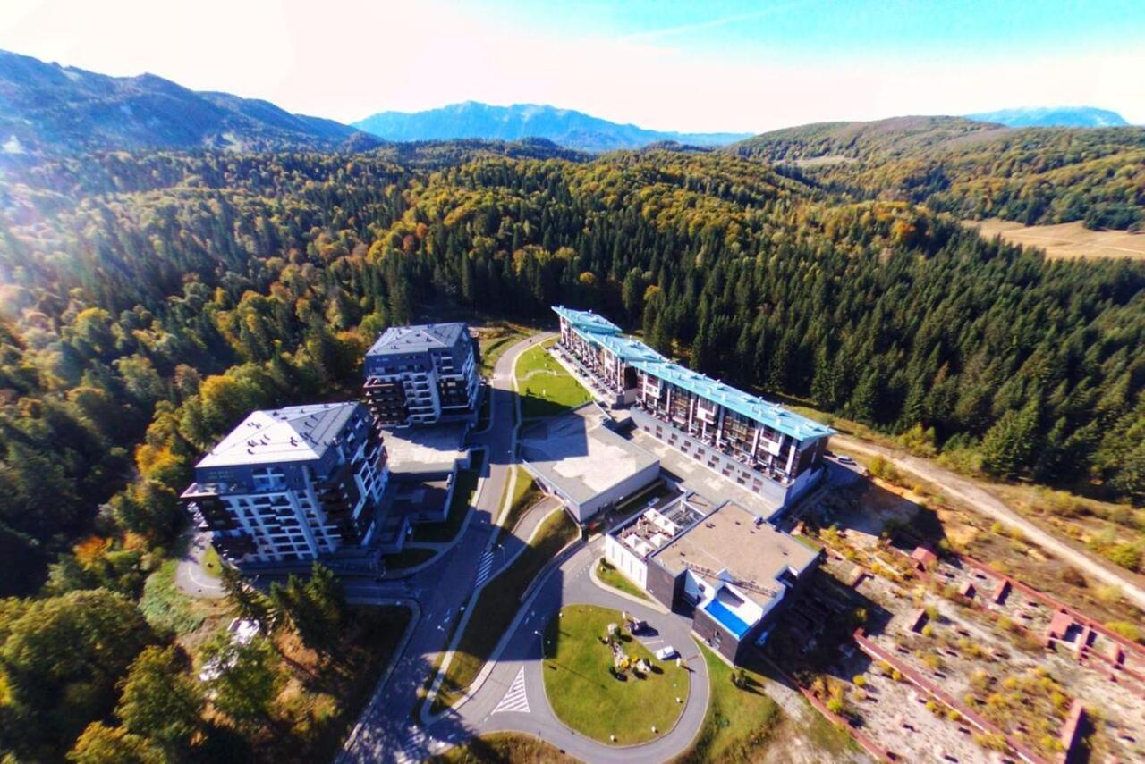Forest Corner In Silver Mountain Of Poiana Brasov Ngoại thất bức ảnh