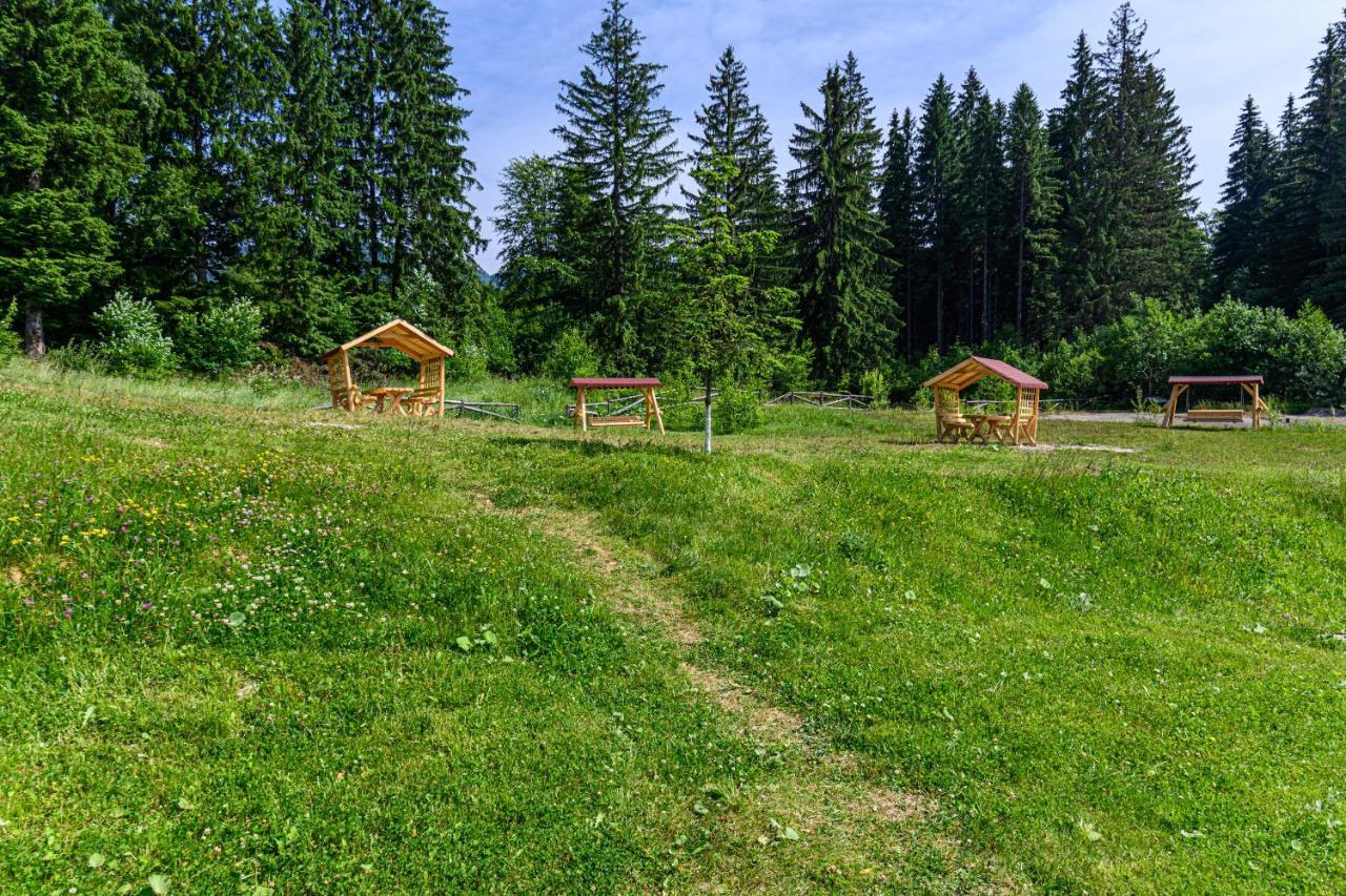 Forest Corner In Silver Mountain Of Poiana Brasov Ngoại thất bức ảnh